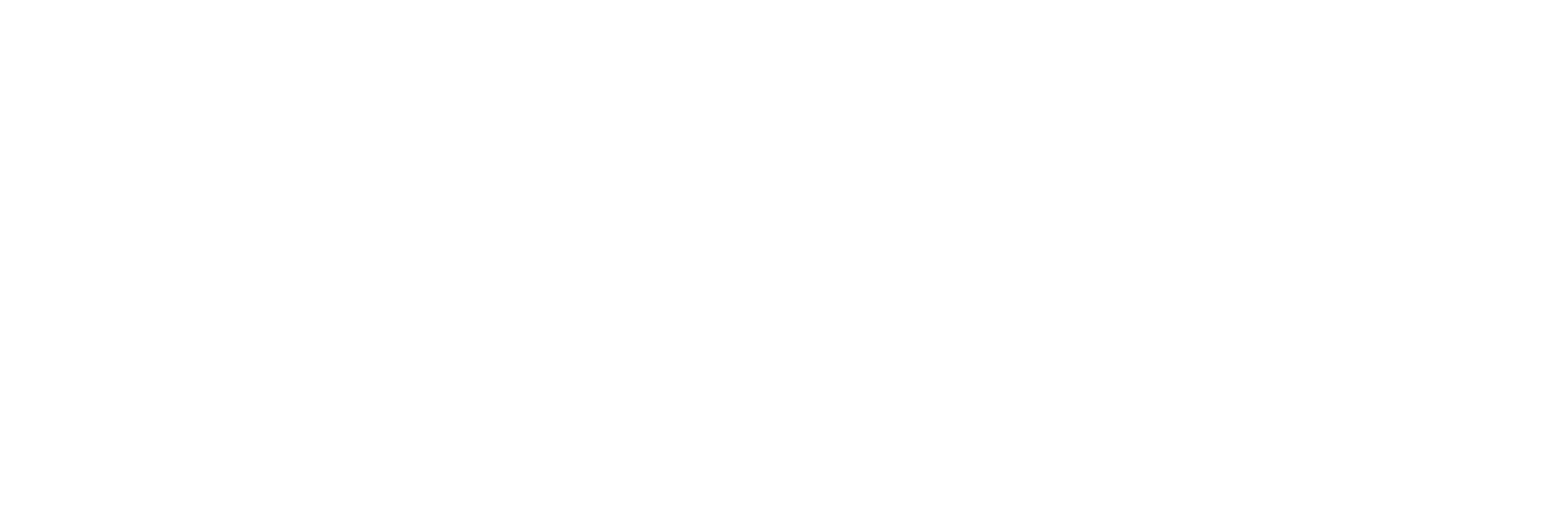 velonetic-logo-descriptor-white-RGB